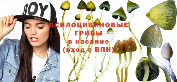 не бодяженный Нягань