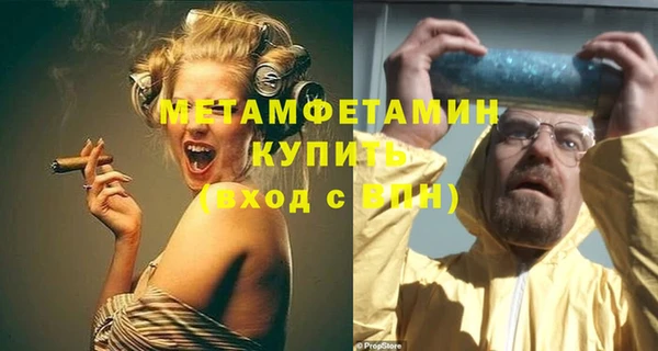 прущие грибы Ростов