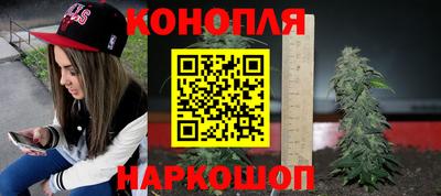 apvp Ирбит