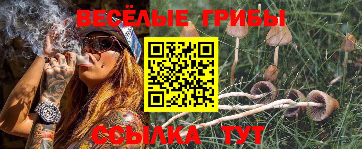 Псилоцибиновые грибы ЛСД Реж